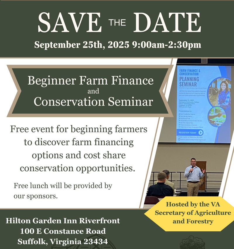 Hình thu nhỏ FF Suffolk